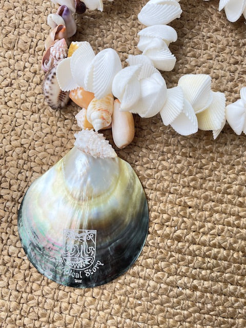 Guirlande de coquillages